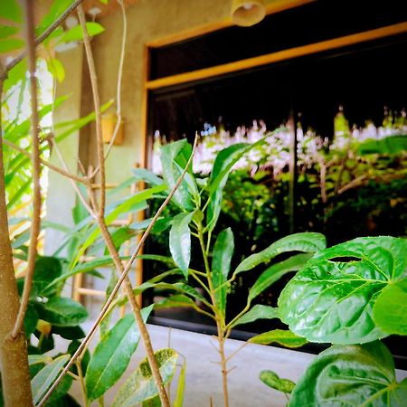 The Ohm Siargao Resort General Luna  Ngoại thất bức ảnh
