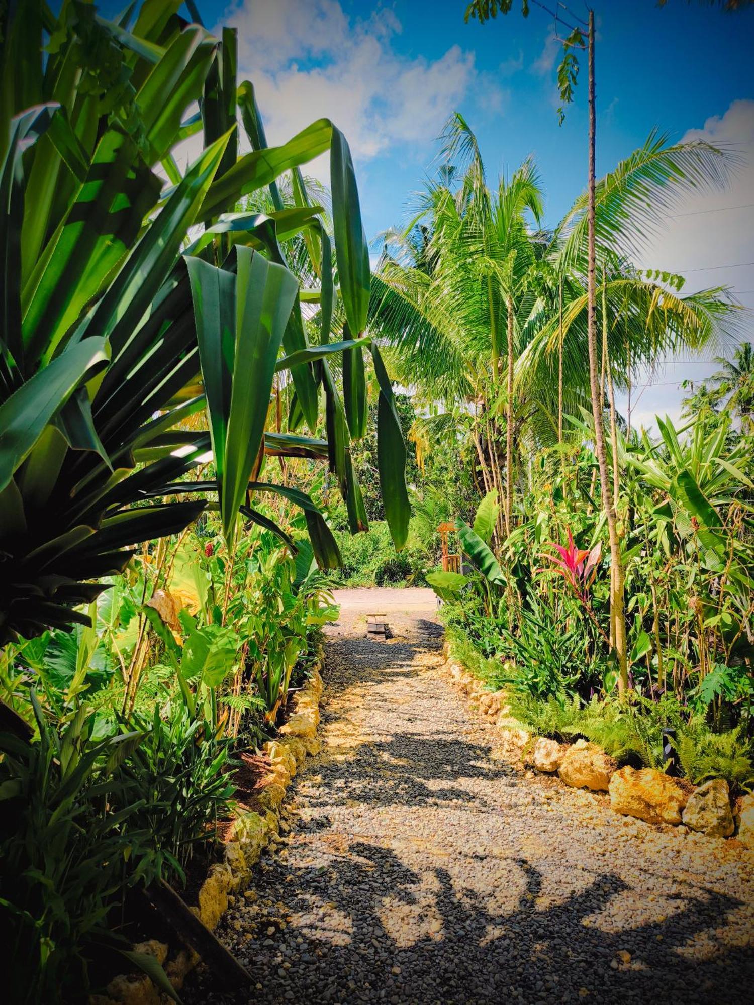 The Ohm Siargao Resort General Luna  Ngoại thất bức ảnh