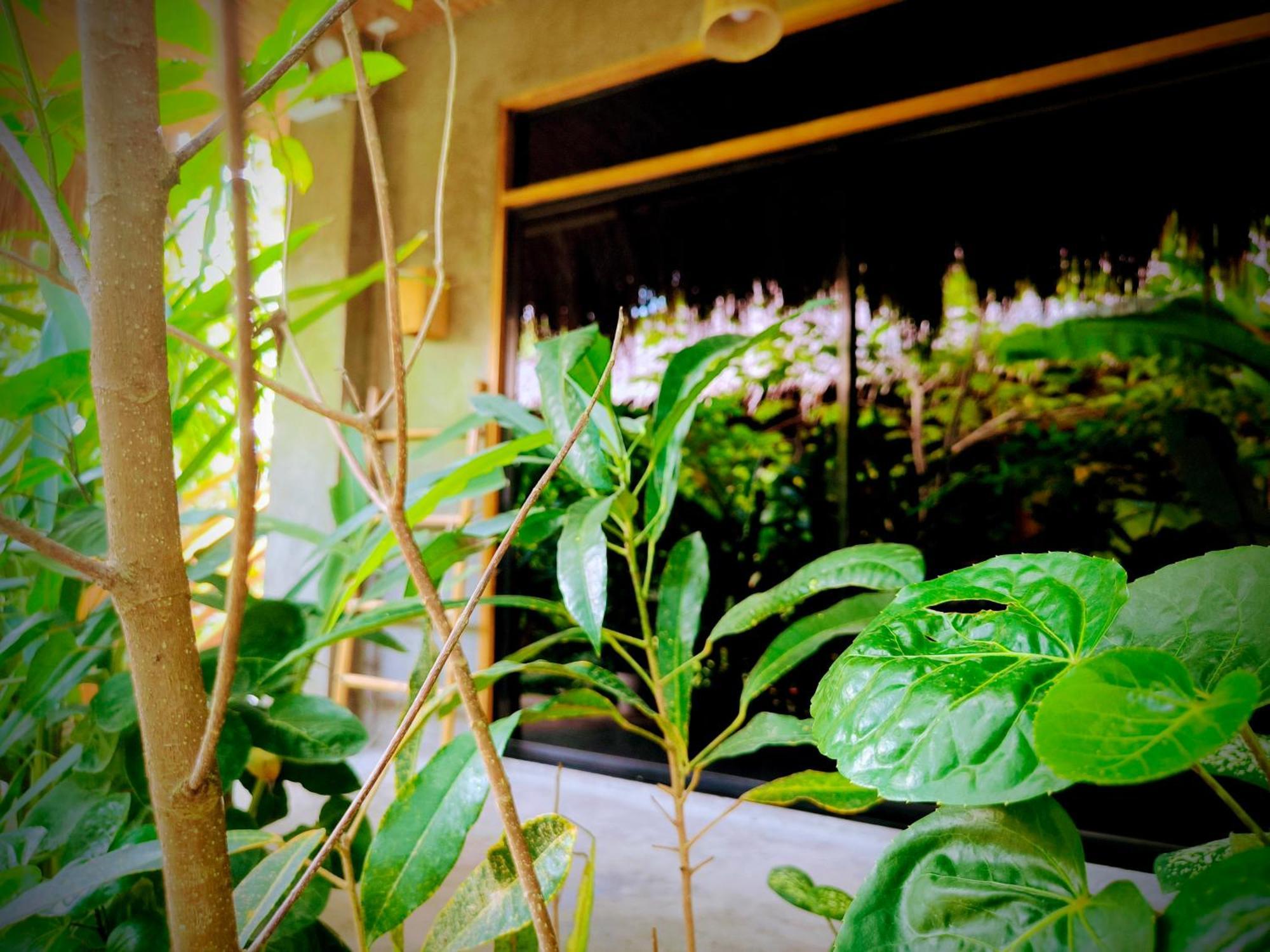 The Ohm Siargao Resort General Luna  Ngoại thất bức ảnh